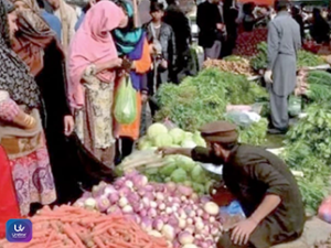 Inflation rate expected to rise to 9.1% per quarter amid economic pressures